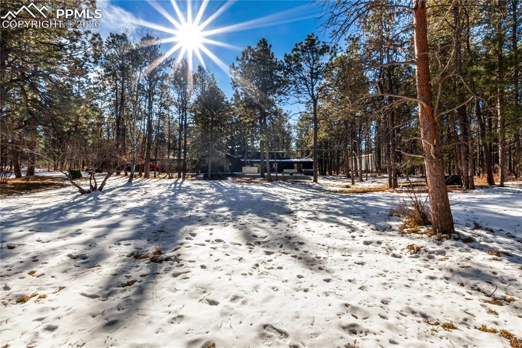 Image 43 of 45: Yard