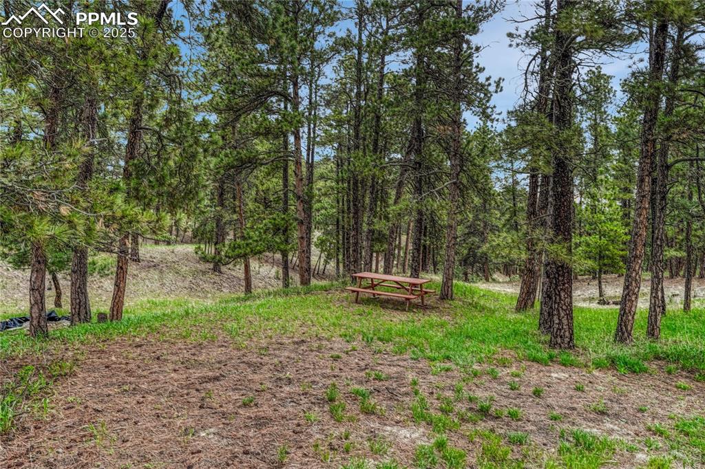 Image 45 of 50: Yard