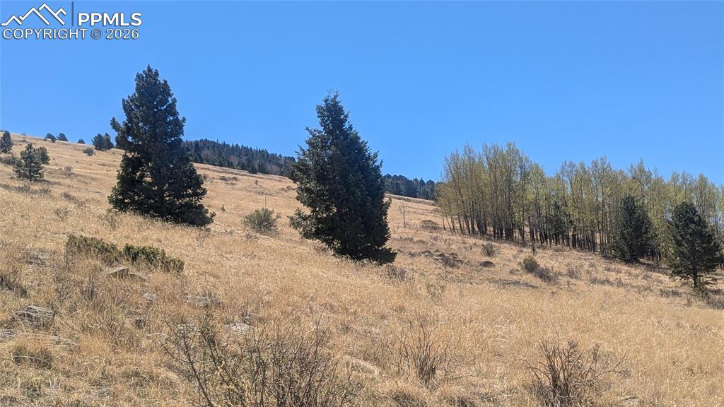 Image 1 of 10: Spacious 1.65 acres