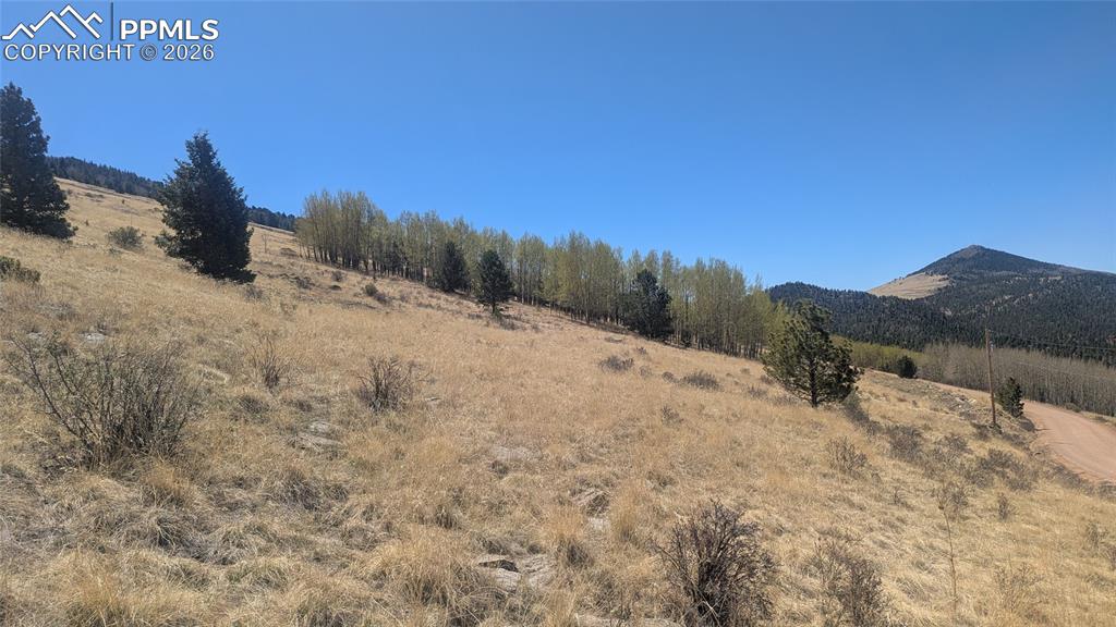 Image 2 of 10: Wide open and ready for your new mountain home