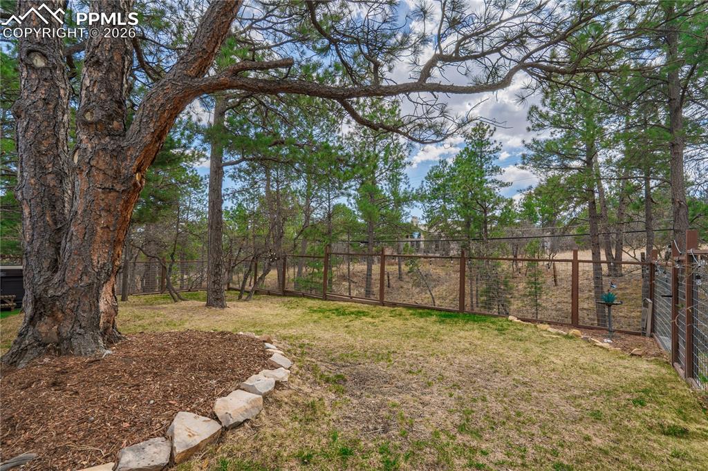 Image 11 of 48: Yard