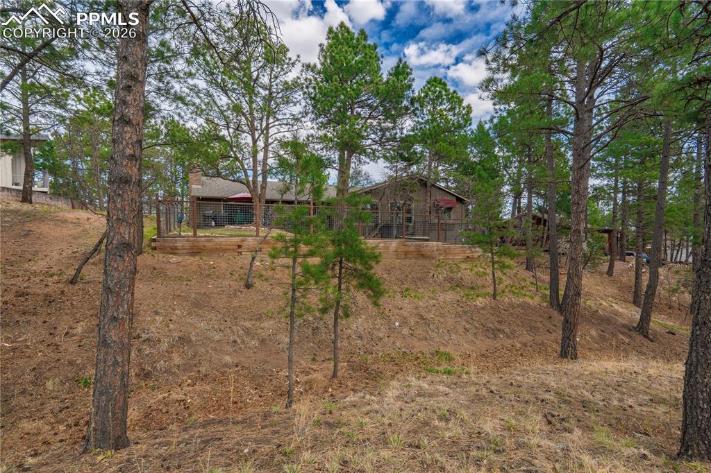 Image 13 of 48: Yard