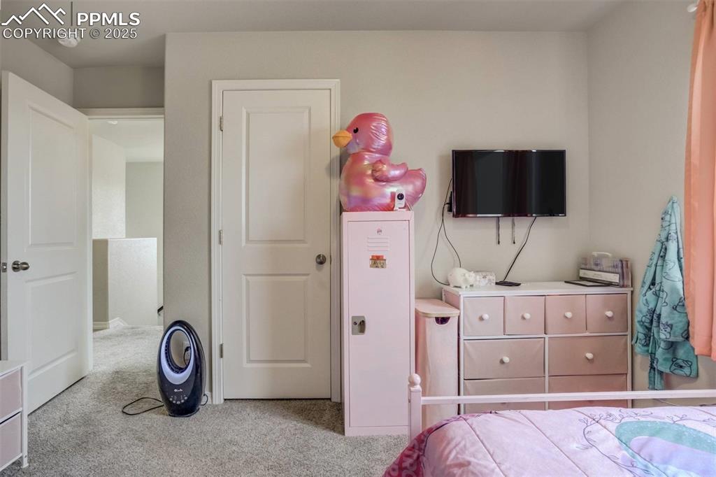 Image 17 of 27: View of carpeted bedroom