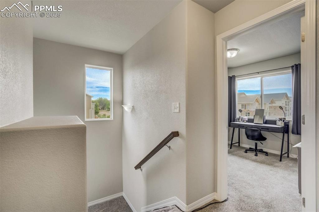 Image 18 of 27: Stairway featuring carpet floors and a textured wall