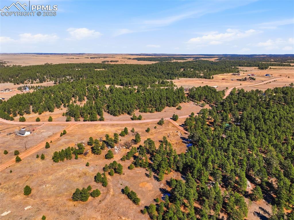 Image 41 of 47: Back Deck is perfect spot for soaking up the Colorado Sun!
