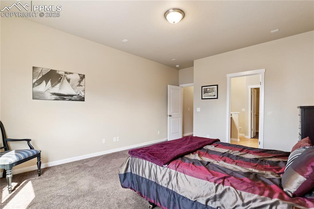 Image 12 of 28: Main level master suite with its own large bathroom and walk-in closet.