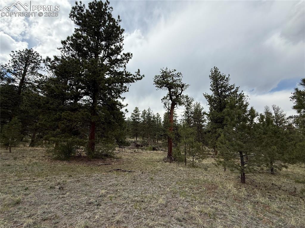 Image 10 of 35: Other