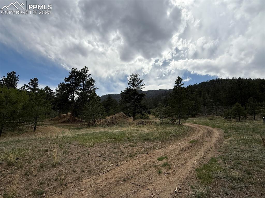 Image 11 of 35: Other