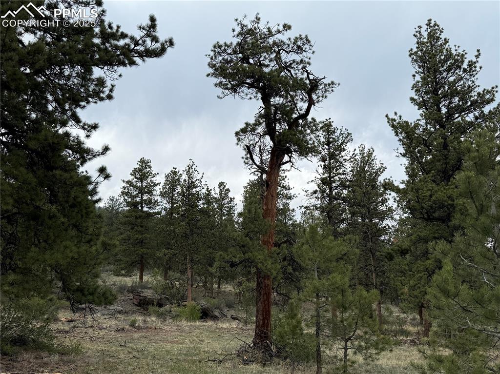 Image 12 of 35: Other