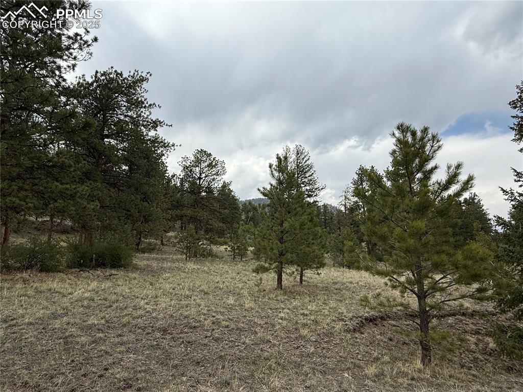 Image 13 of 35: Other