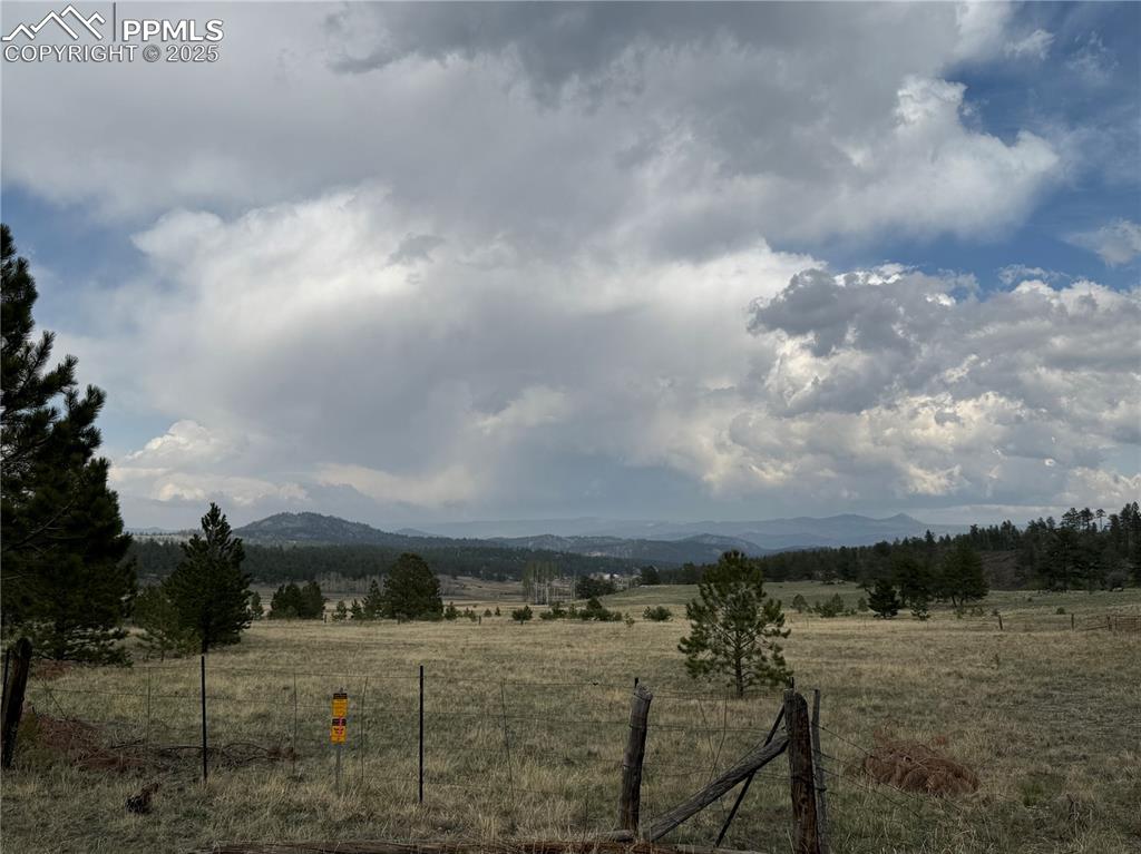 Image 14 of 35: Yard