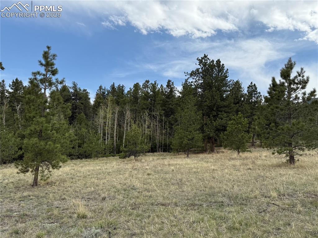 Image 16 of 35: Other