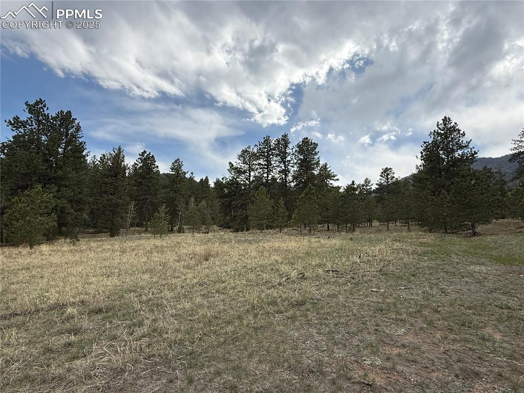 Image 17 of 35: Other