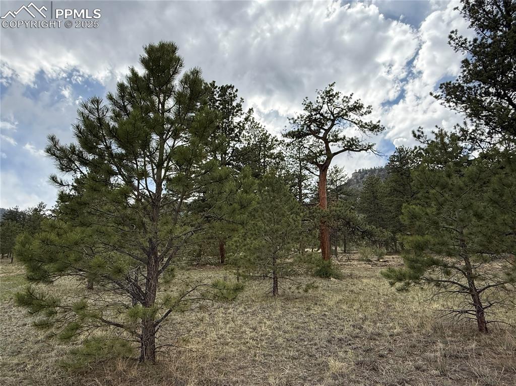 Image 18 of 35: Other