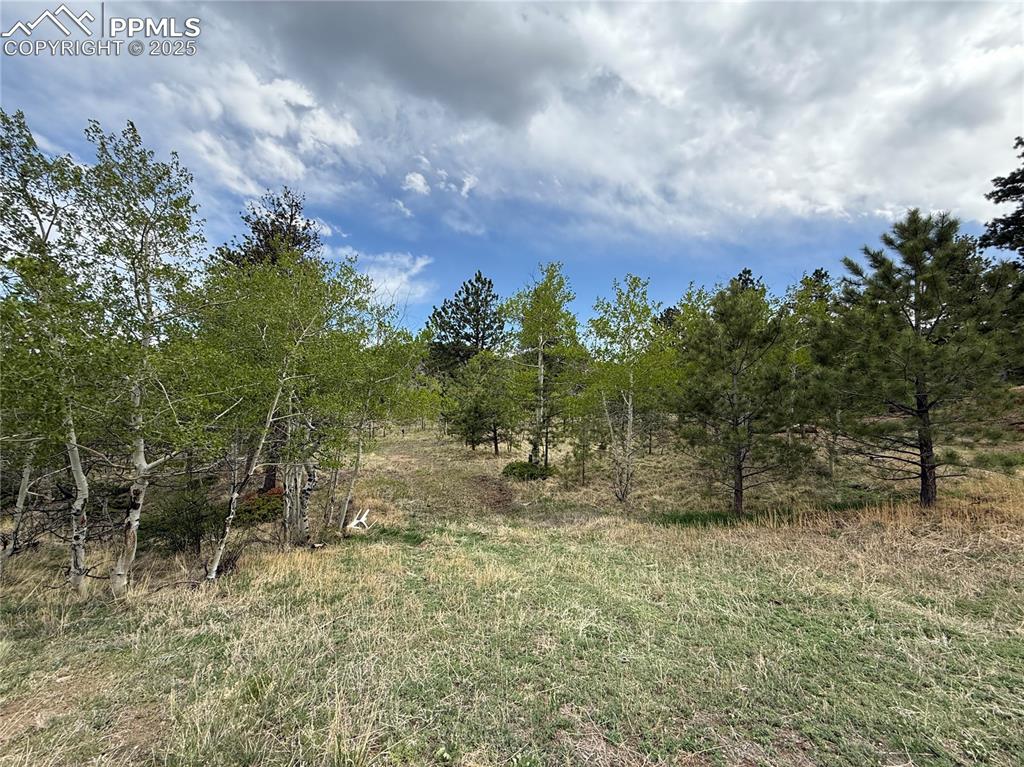 Image 2 of 35: Other