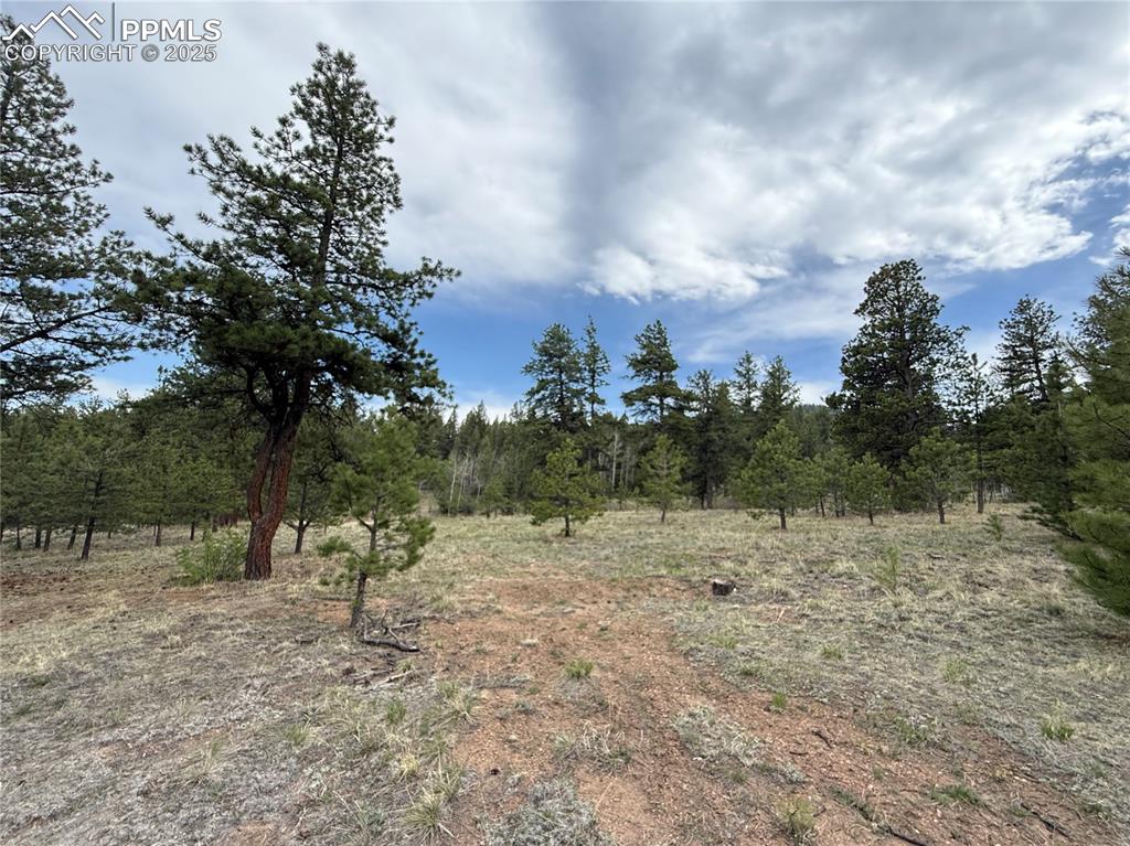 Image 20 of 35: Other