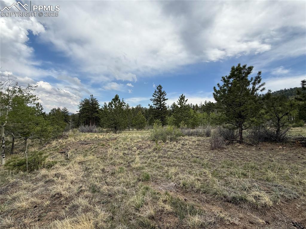 Image 22 of 35: Other