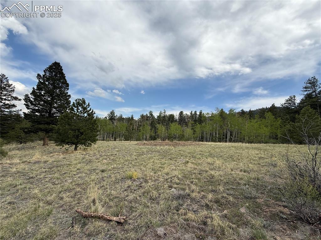 Image 23 of 35: Other