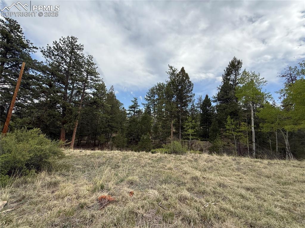 Image 25 of 35: Other