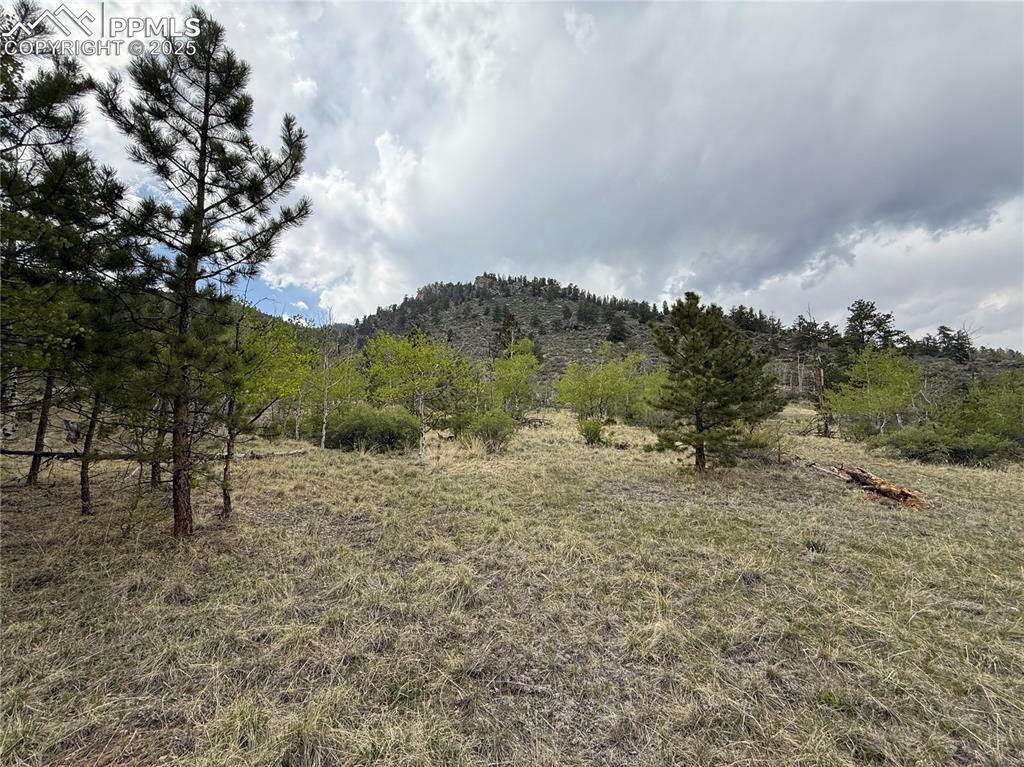 Image 3 of 35: Other