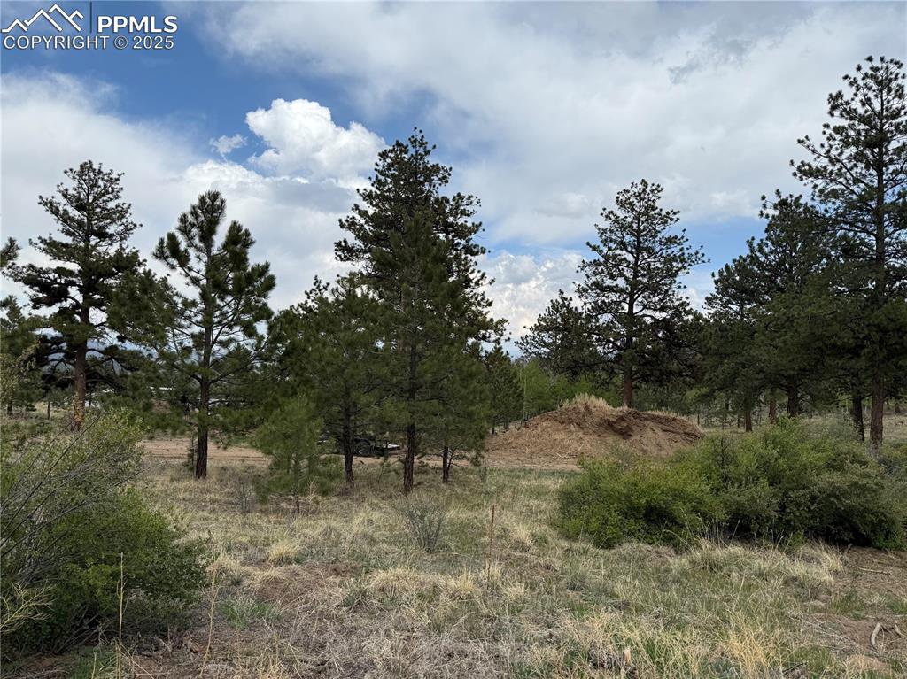 Image 33 of 35: Other