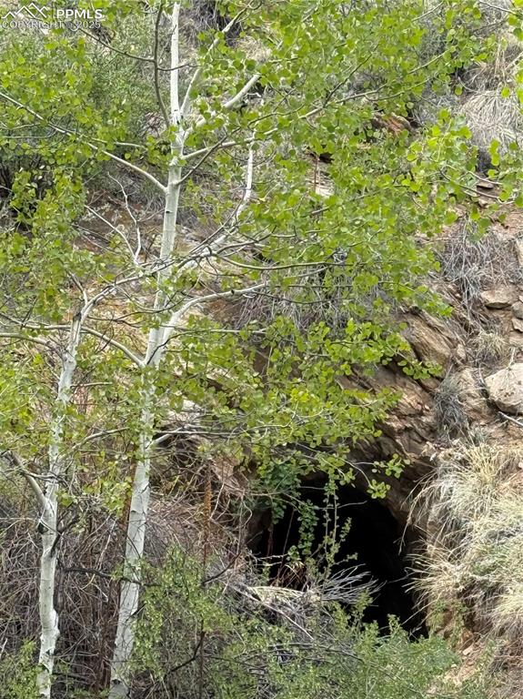 Image 34 of 35: Other