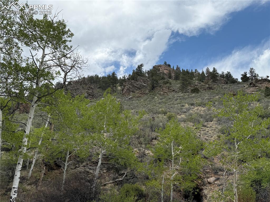 Image 35 of 35: Other