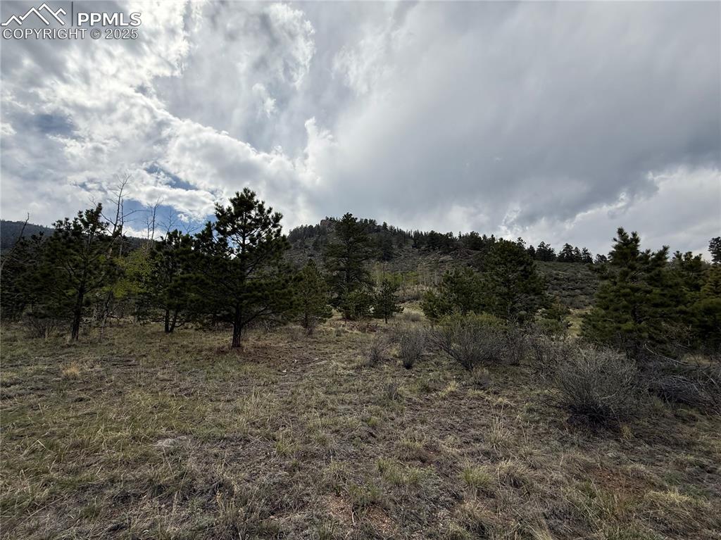 Image 4 of 35: Other