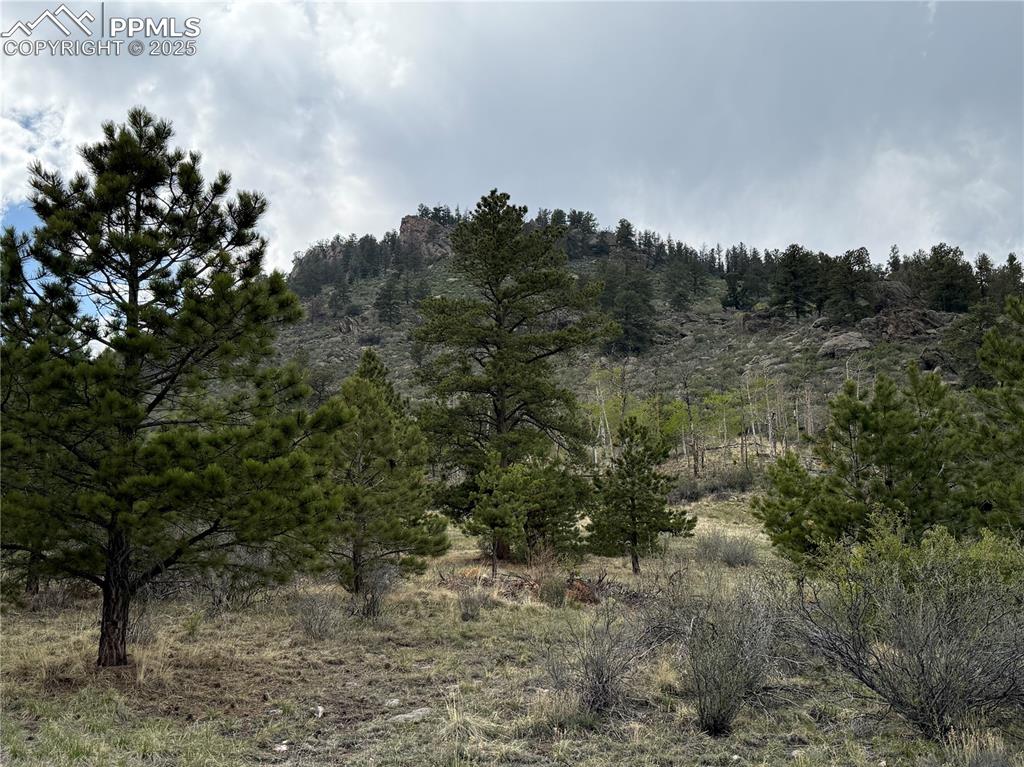 Image 5 of 35: Other