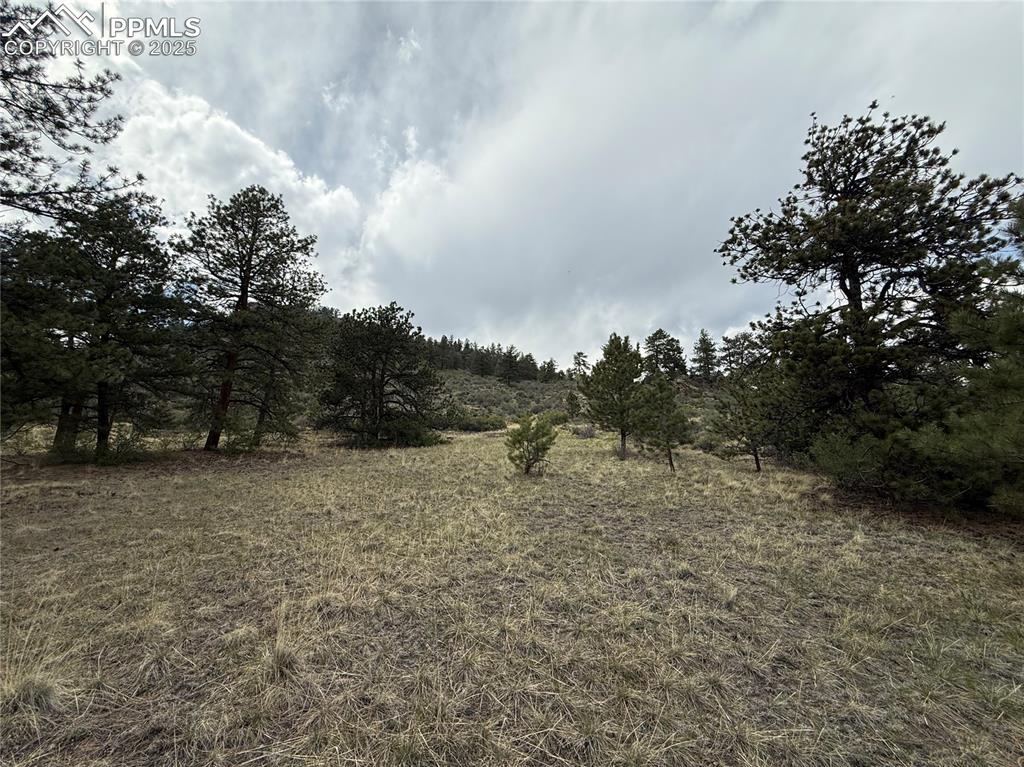 Image 7 of 35: Other