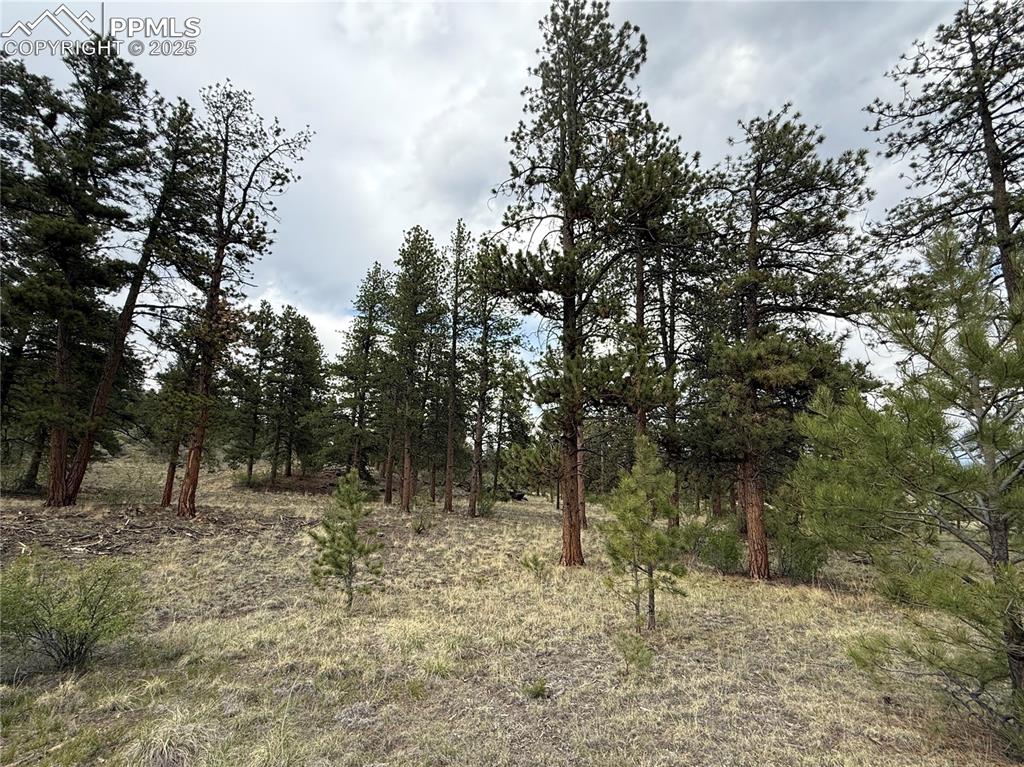 Image 9 of 35: Other