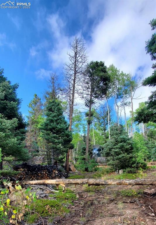 Image 5 of 14: View of local wilderness