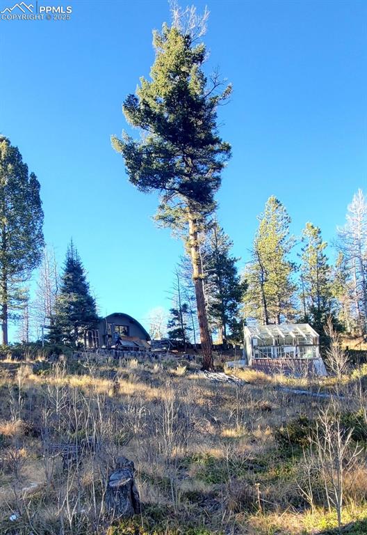 Image 6 of 14: 1st Guest Cabin and greenhouse