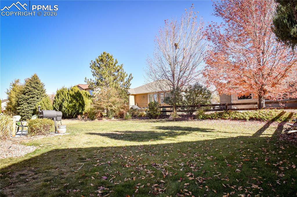 Image 8 of 40: Yard
