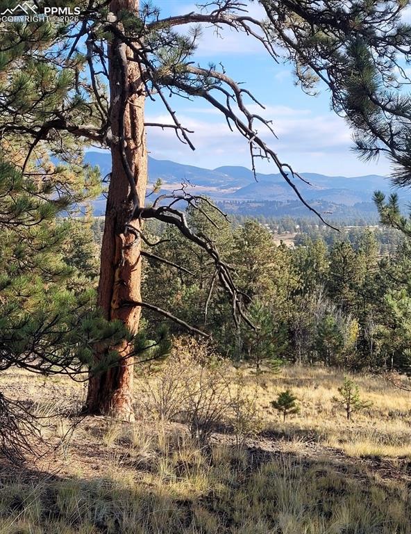 Image 3 of 10: View