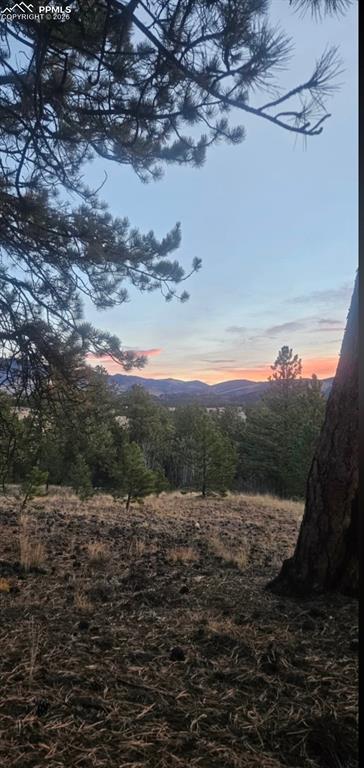 Image 4 of 10: View