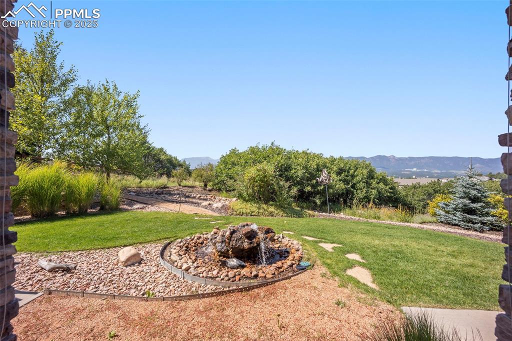 Image 43 of 50: Yard