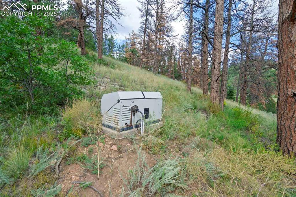 Image 13 of 50: Yard