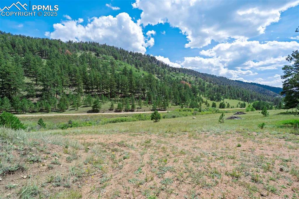 Image 14 of 50: View