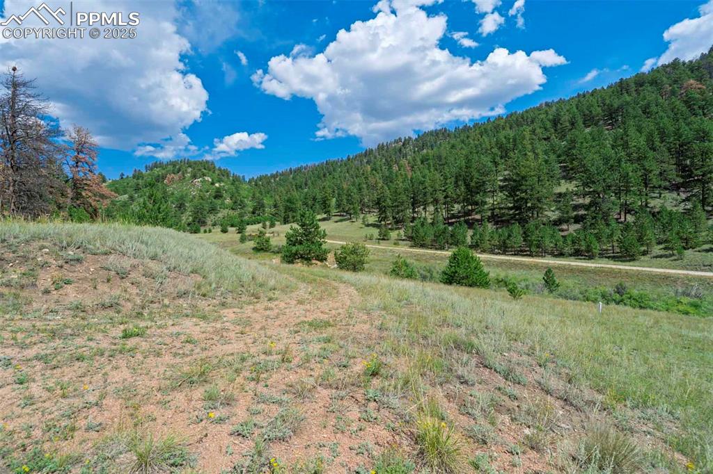 Image 15 of 50: Other