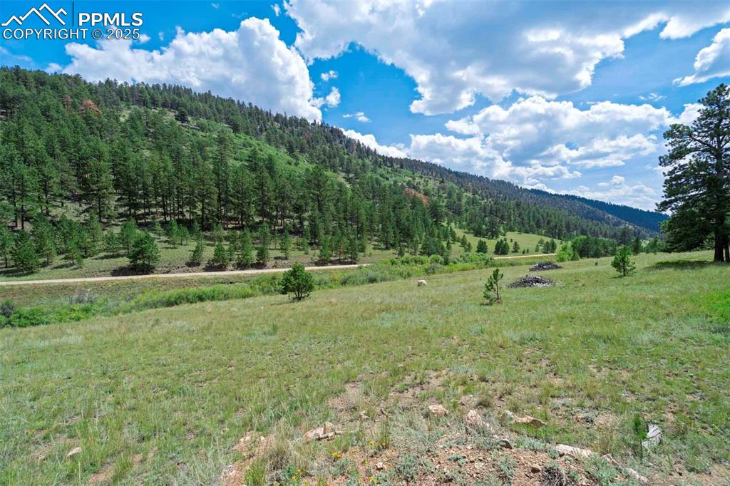 Image 16 of 50: View