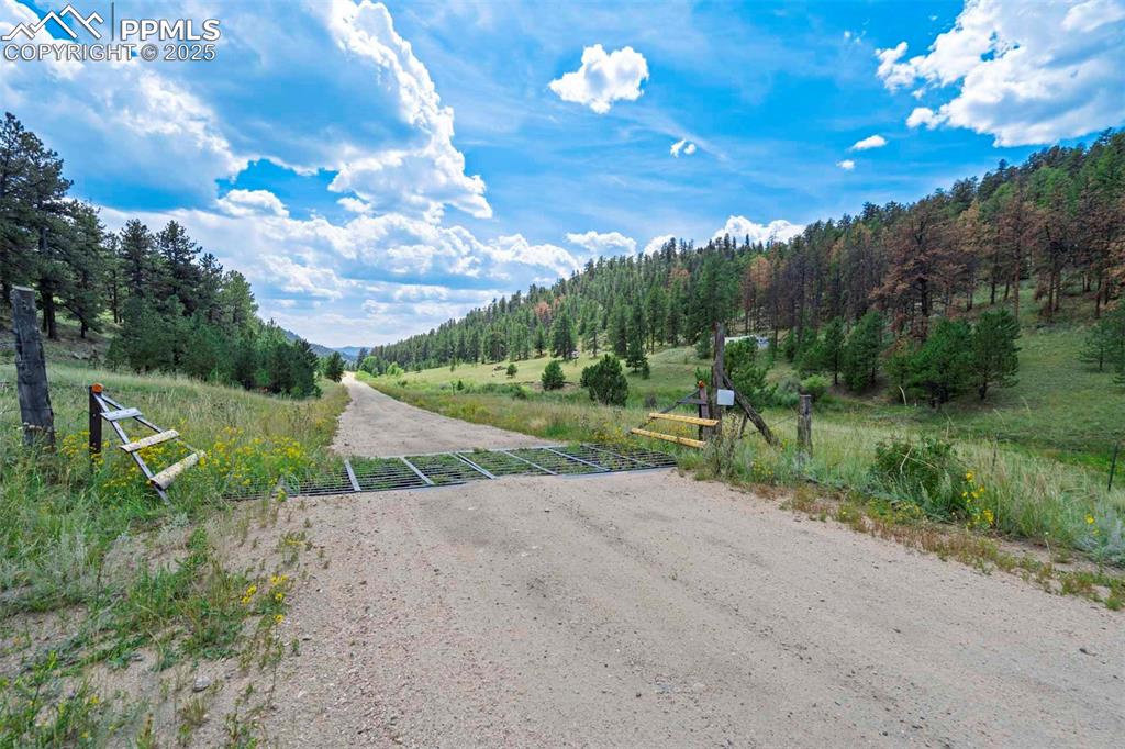 Image 19 of 50: Community