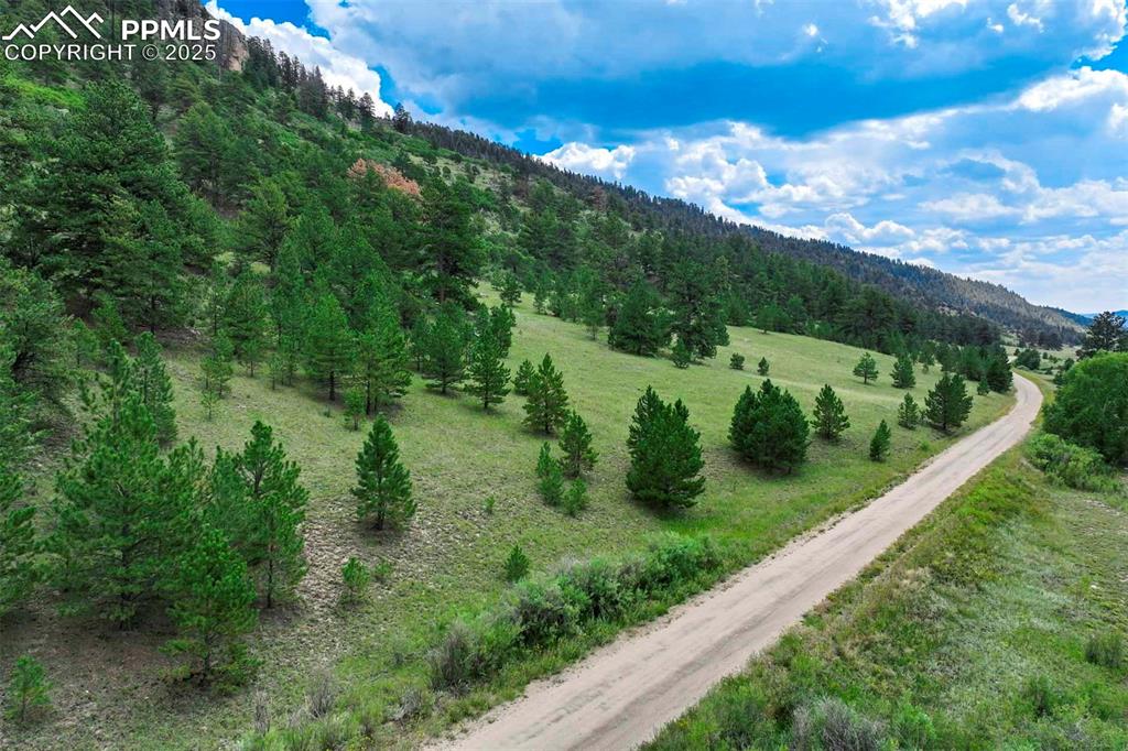 Image 25 of 50: View