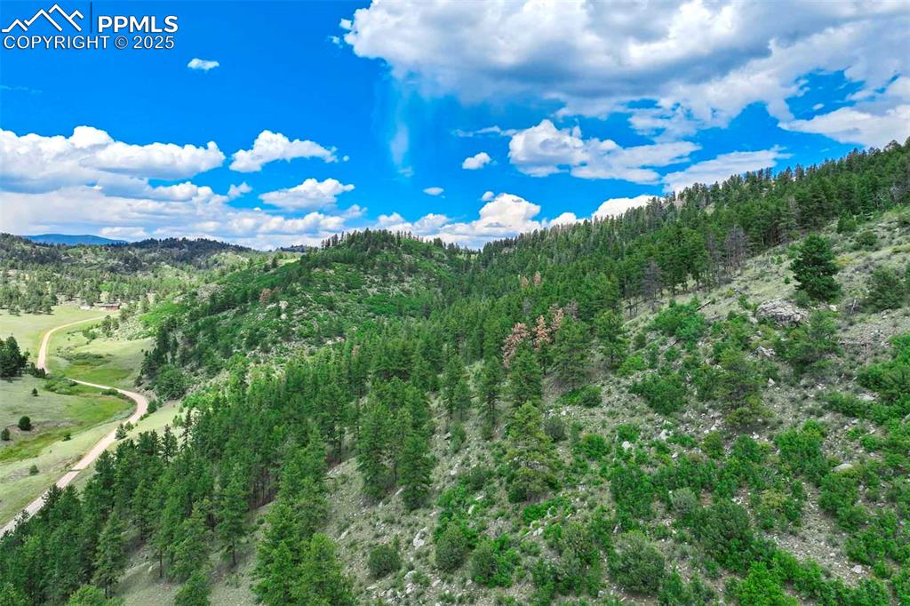 Image 29 of 50: View