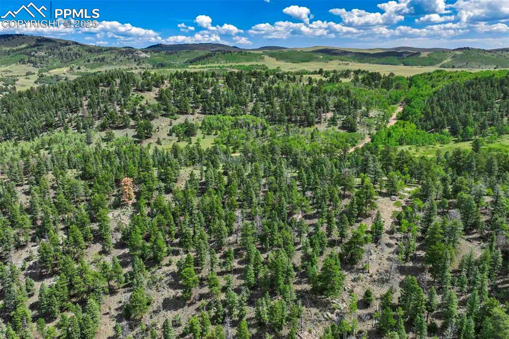 Image 35 of 50: Aerial View