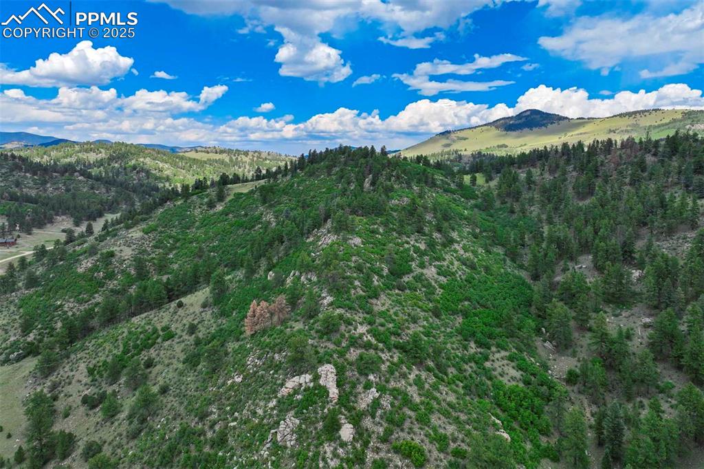 Image 38 of 50: View