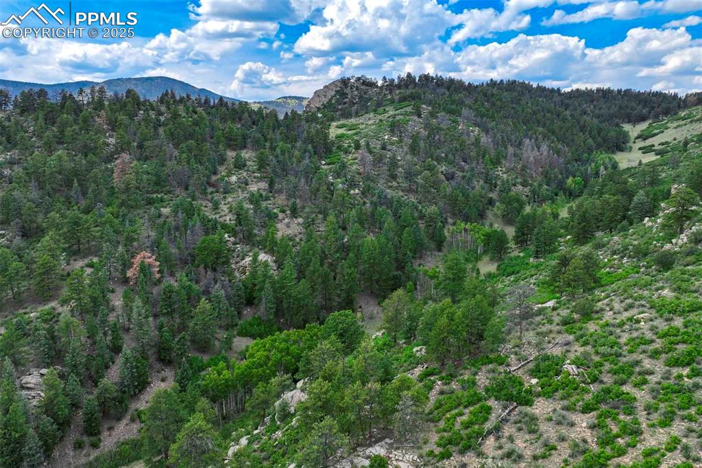 Image 39 of 50: View