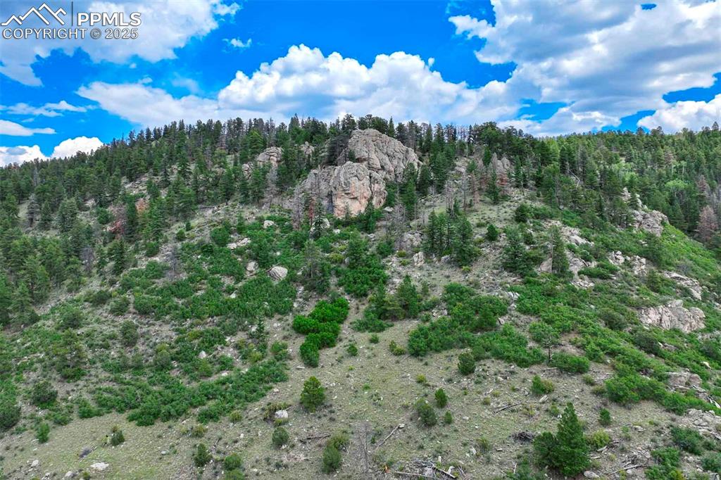 Image 40 of 50: Other