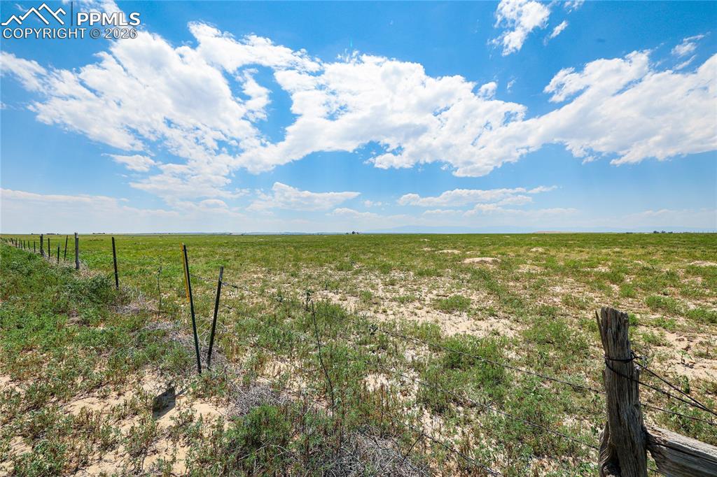 Image 25 of 35: No Description Available