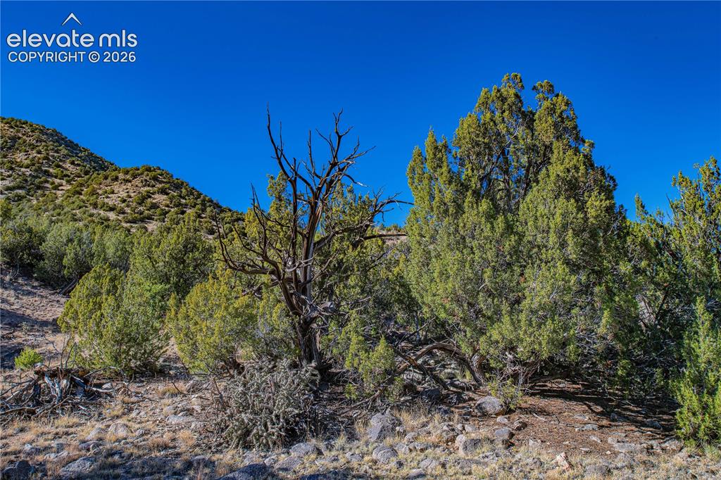 Image 44 of 48: Property view of mountains